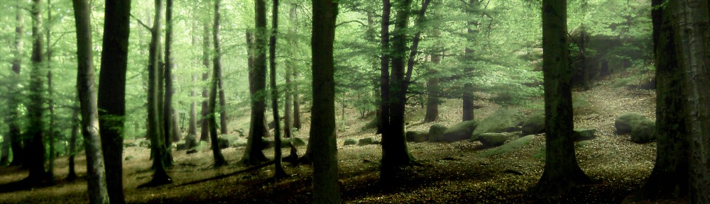 Lindormar och Lusbrädor