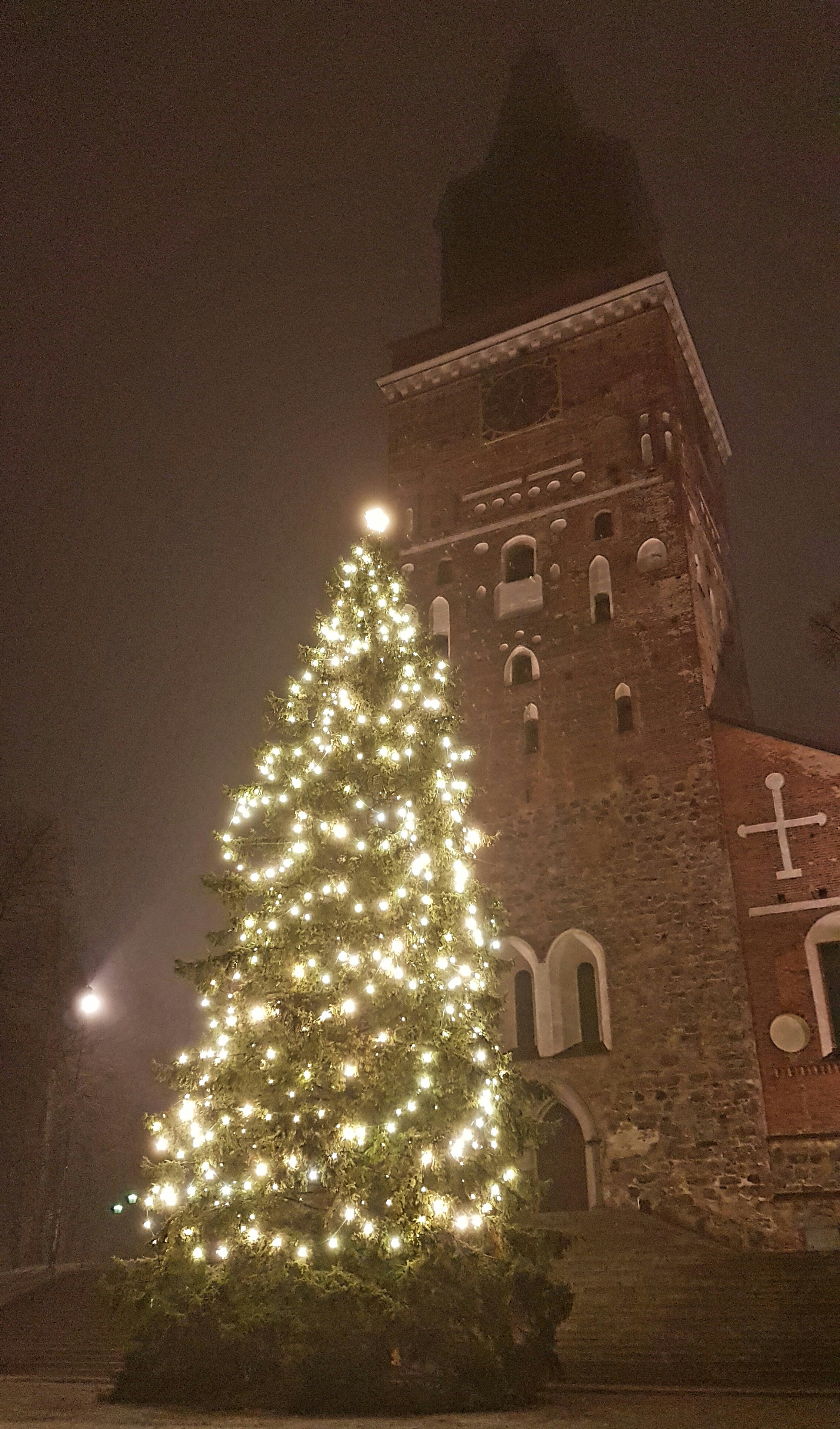 Julgran framför Åbo domkyrka. Foto: Tora Wall