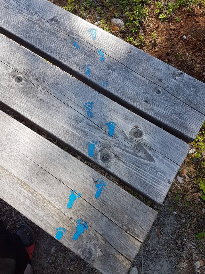 Fotspår av småfolk i Trolska skogen. Foto: Tora Wall