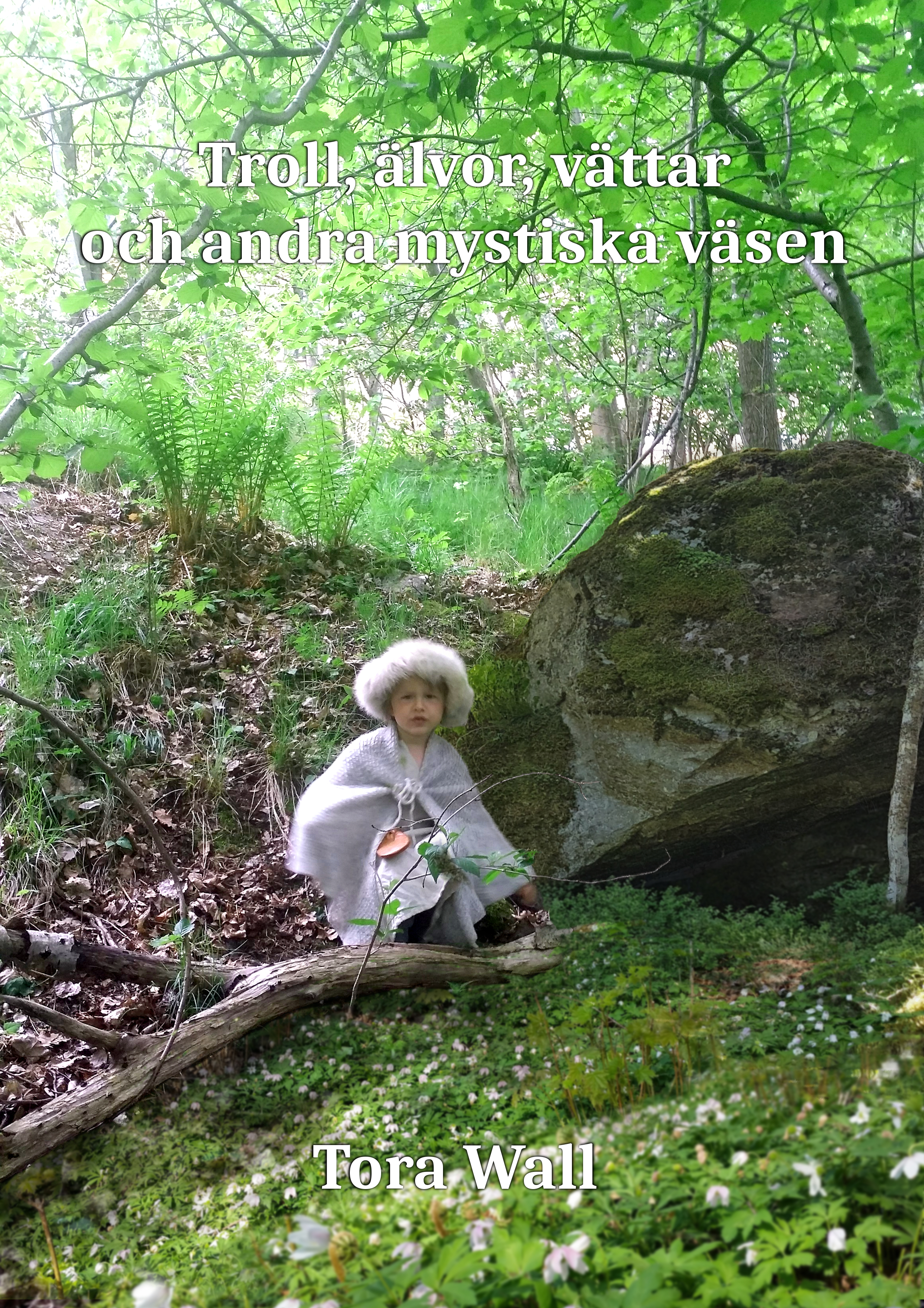 Framsida Troll, älvor, vättar och andra mystiska väsen